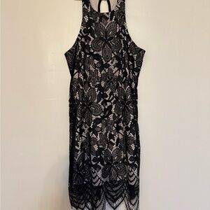 Express small Elegant Black Lace Dress